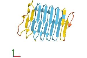 AlphaFold protein structure predicition of Human Recombinant KRTAP12-2 Protein, UniprotID P59991