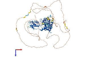 Fidgetin (FIGN) (AA 1-759) protein (His tag)