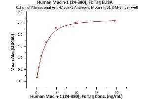 Mucin 1 (MUC1) (AA 24-380) (Active) protein (Fc Tag)