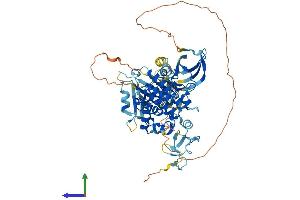 AlphaFold protein structure predicition of Mouse Recombinant Limk2 Protein, UniprotID O54785