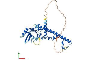 AlphaFold protein structure predicition of Mouse Recombinant Nhej1 Protein, UniprotID Q3KNJ2