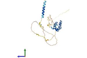 AlphaFold protein structure predicition of Mouse Recombinant Tgif1 Protein, UniprotID P70284
