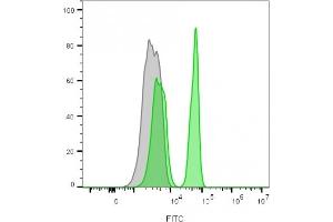 Flow cytometry analysis of lymphocyte-gated PBMCs unstained (gray) or stained with CF488A-labeled CD4 mouse monoclonal antibody (C4/206)(green) (CD4 anticorps)