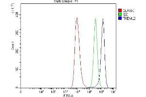 Flow Cytometry analysis of HEL cells using anti-TREML2 antibody (ABIN7602217). (TREML2 anticorps  (AA 64-321))