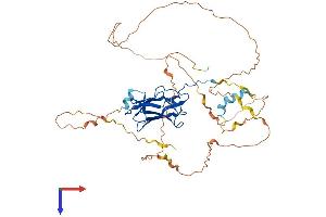 AlphaFold protein structure predicition of Human Recombinant RUNX1 Protein, UniprotID Q01196