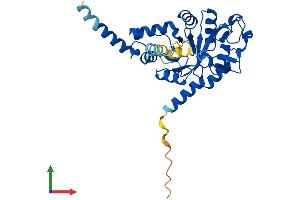AlphaFold protein structure predicition of Mouse Recombinant Gdpd3 Protein, UniprotID Q99LY2
