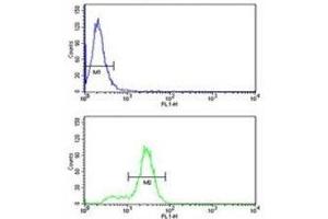 Keratin-14 antibody flow cytometry analysis of MDA-MB231 cells (bottom histogram) compared to a negative control (top histogram).