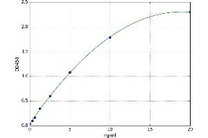 Proline Arginine Rich End Leucine Rich Repeat Protein (PRELP) ELISA Kit