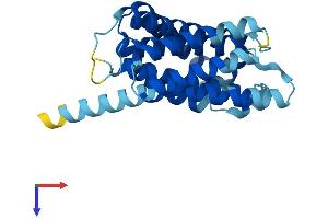 AlphaFold protein structure predicition of Mouse Recombinant Tmem101 Protein, UniprotID Q91VP7