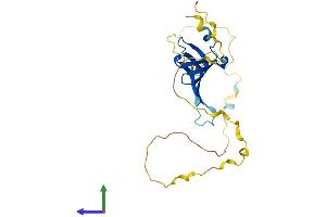 AlphaFold protein structure predicition of Mouse Recombinant Snrpb Protein, UniprotID P27048