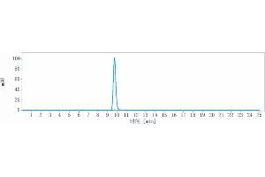 anti-GDF15 (Ponsegromab Biosimilar) antibody