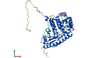 AlphaFold protein structure predicition of Mouse Recombinant Tat Protein, UniprotID Q8QZR1 (Tat (AA 1-454) protein (His tag))