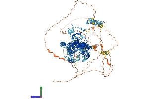 AlphaFold protein structure predicition of Mouse Recombinant Rhbdf1 Protein, UniprotID Q6PIX5