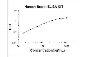 Typical Standard Curve