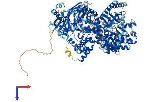 AlphaFold protein structure predicition of Mouse Recombinant Pik3cg Protein, UniprotID Q9JHG7