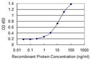 Detection limit for recombinant GST tagged HNF4A is 0. (HNF4A anticorps  (AA 324-423))
