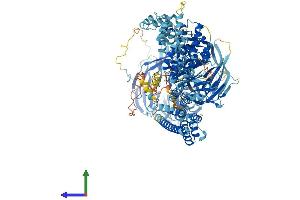 AlphaFold protein structure predicition of Mouse Recombinant Elp1 Protein, UniprotID Q7TT37