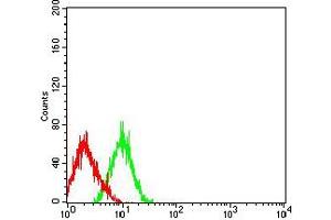 Flow cytometric analysis of HL-60 cells using CD203C mouse mAb (green) and negative control (red).