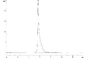 The purity of Human Adiponectin is greater than 95 % as determined by SEC-HPLC. (ADIPOQ Protein (AA 19-244) (Fc Tag))