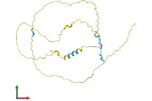 AlphaFold protein structure predicition of Mouse Recombinant Nucks1 Protein, UniprotID Q80XU3