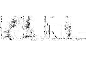 Image no. 1 for anti-CD38 antibody (PerCP-Cy5.5) (ABIN1106335) (CD38 anticorps  (PerCP-Cy5.5))