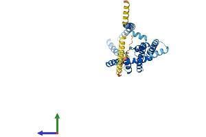 AlphaFold protein structure predicition of Mouse Recombinant Kcnk1 Protein, UniprotID O08581