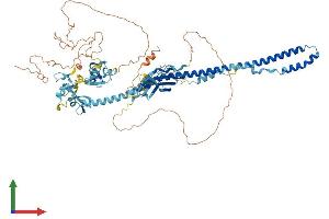 AlphaFold protein structure predicition of Mouse Recombinant Trim42 Protein, UniprotID Q9D2H5