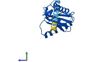 AlphaFold protein structure predicition of Human Recombinant AP1S3 Protein, UniprotID Q96PC3