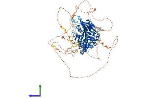 AlphaFold protein structure predicition of Mouse Recombinant Map1s Protein, UniprotID Q8C052