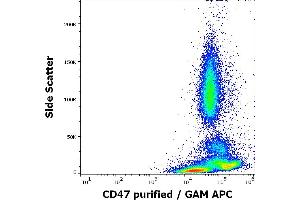 Flow cytometry surface staining pattern of human peripheral blood stained using anti-human CD47 (MEM-122) purified antibody (concentration in sample 4 μg/mL, GAM APC).