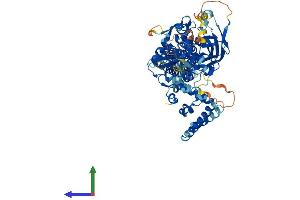 AlphaFold protein structure predicition of Human Recombinant STAT4 Protein, UniprotID Q14765