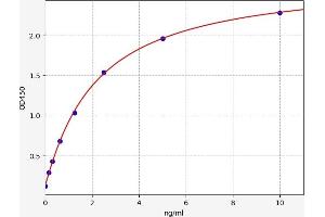 Major Vault Protein (MVP) ELISA Kit