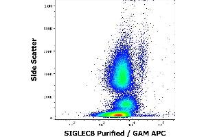 Flow cytometry surface staining pattern of human peripheral whole blood stained using anti-human SIGLEC8 (7C9) purified antibody (concentration in sample 6 μg/mL, GAM APC). (SIGLEC8 anticorps  (Extracellular Domain))