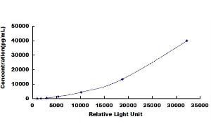Typical standard curve (MMP13 Kit CLIA)