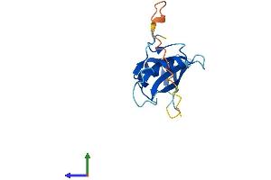 AlphaFold protein structure predicition of Mouse Recombinant Sh2d1b Protein, UniprotID O35324