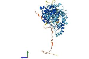 AlphaFold protein structure predicition of Mouse Recombinant Lpcat4 Protein, UniprotID Q6NVG1