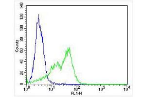 Overlay histogram showing HT-29 cells stained with Antibody (green line).