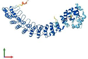 AlphaFold protein structure predicition of Human Recombinant ASB3 Protein, UniprotID Q9Y575