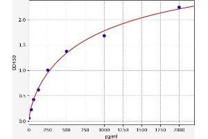 Typical standard curve (14-3-3 zeta Kit ELISA)