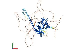 AlphaFold protein structure predicition of Human Recombinant TBC1D14 Protein, UniprotID Q9P2M4