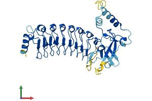 AlphaFold protein structure predicition of Human Recombinant LRRC28 Protein, UniprotID Q86X40