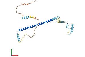 AlphaFold protein structure predicition of Human Recombinant CLTA Protein, UniprotID P09496