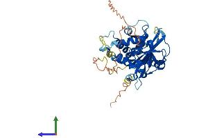 AlphaFold protein structure predicition of Human Recombinant USP17L6P Protein, UniprotID Q6QN14