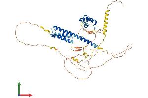 AlphaFold protein structure predicition of Mouse Recombinant Pknox2 Protein, UniprotID Q8BG99