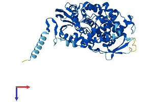 AlphaFold protein structure predicition of Human Recombinant CYP7A1 Protein, UniprotID P22680