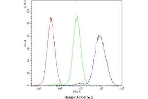 Flow cytometry testing of human U-2 OS cells with NFIA antibody at 1ug/10^6 cells (blocked with goat sera) (NFIA anticorps  (AA 180-224))