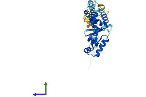 AlphaFold protein structure predicition of Mouse Recombinant Snf8 Protein, UniprotID Q9CZ28