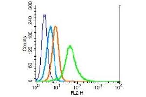 Human U937 cells probed with CDC123 Polyclonal Antibody, Unconjugated  (green) at 1:100 for 30 minutes followed by a PE conjugated secondary antibody compared to unstained cells (blue), secondary only (light blue), and isotype control (orange). (CDC123 anticorps  (AA 101-200))