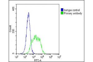 Overlay histogram showing A549 cells stained with (ABIN652702 and ABIN2842467)(green line).