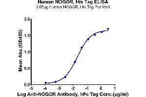 Immobilized Human NOGOR, His Tag at 0.